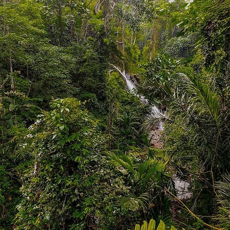 The Sebali Resort Убуд Екстер'єр фото A waterfall in the park