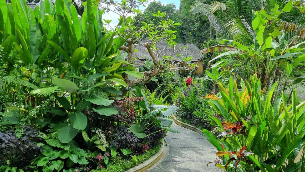 The Sebali Resort Убуд Екстер'єр фото A path in the park